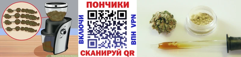 omg ссылки Приозерск Cannafood марихуана