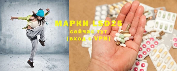 PSILOCYBIN Алзамай