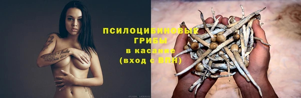 героин Алексин