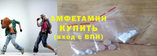 PSILOCYBIN Алзамай