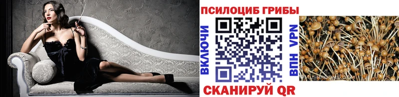Псилоцибиновые грибы мухоморы  Приозерск 